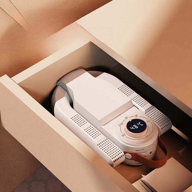 Intelligent shoe dryer